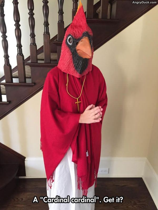 Cardinal Cardinal