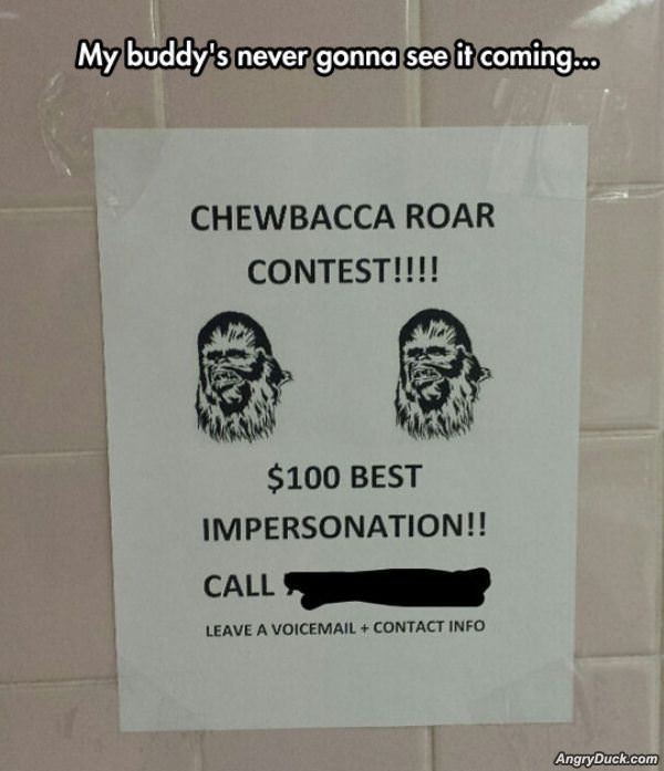 Chewbacca Roar Contest