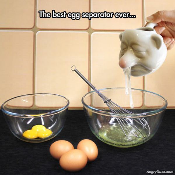 Cool Egg Separator