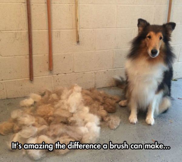 Difference A Brush Can Make