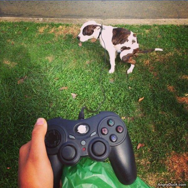 Dog Video Game