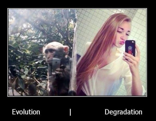 Evolution