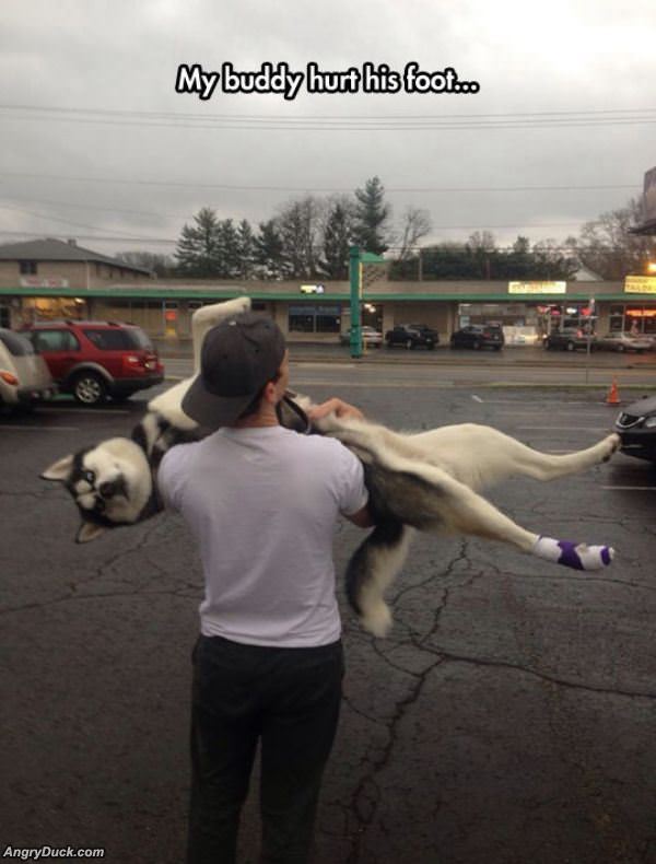 My Buddy Hurt His Foot