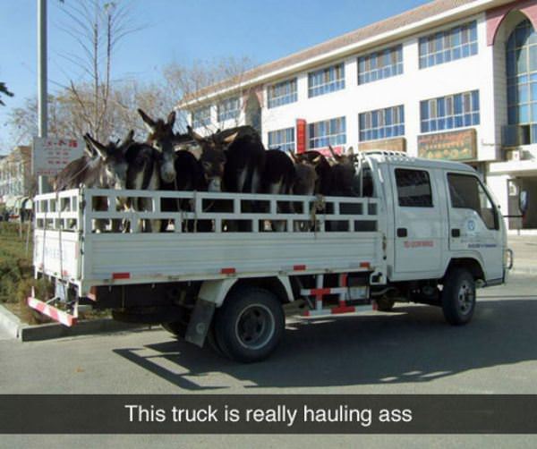 Really Hauling Ass