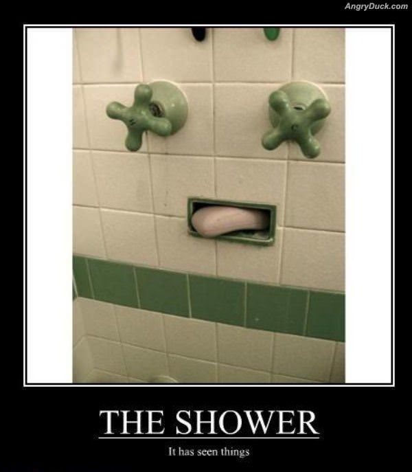 Shower Has Seen Things