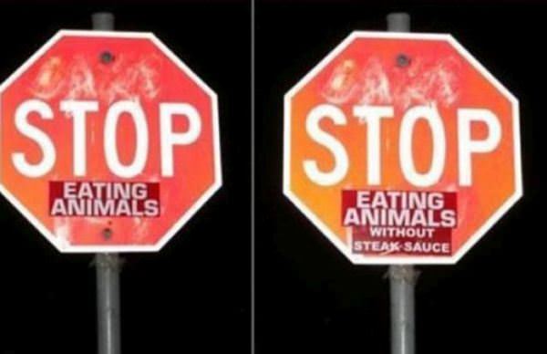 Stop Eating Animals