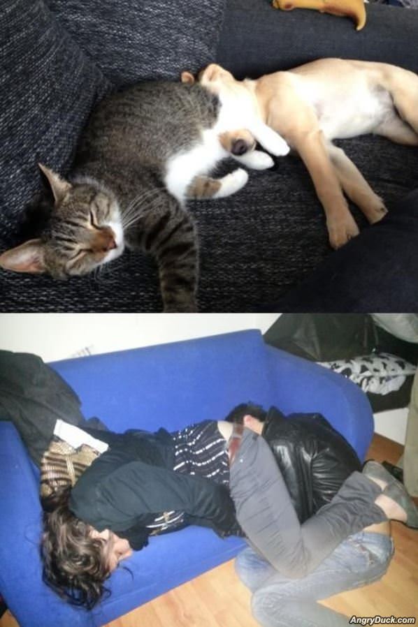 Feel Asleep Like This