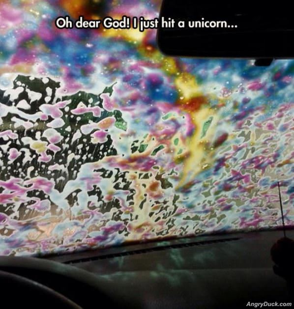 Hit A Unicorn