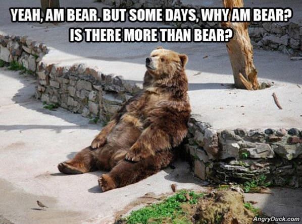 I Am Bear