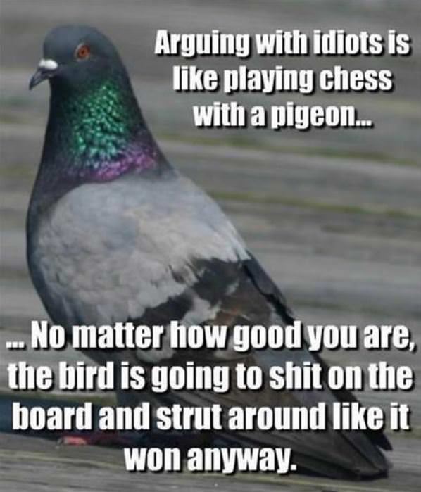 Arguing With Idiots