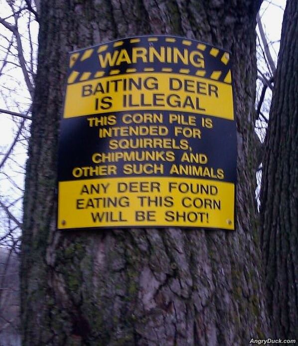 Baiting Deer Is Illegal