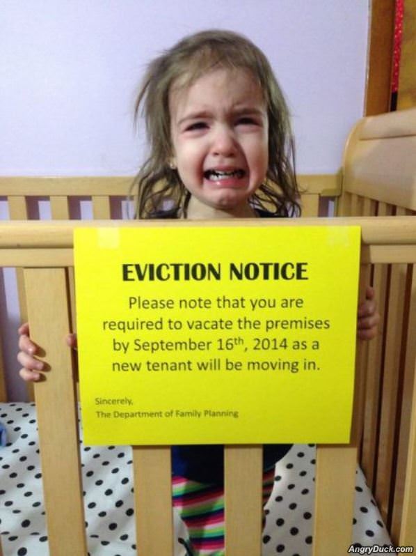 Eviction Notice