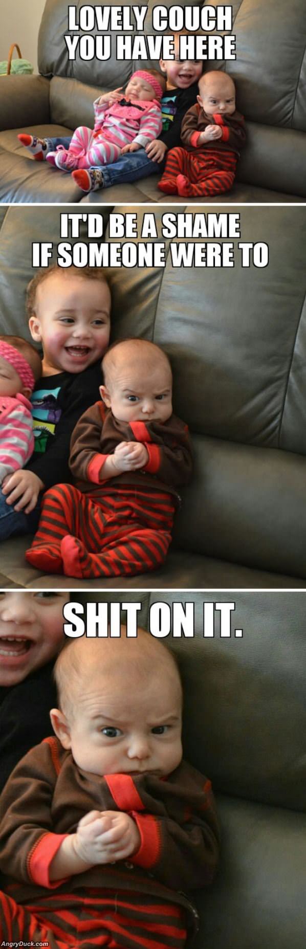 Lovely Couch You Have There