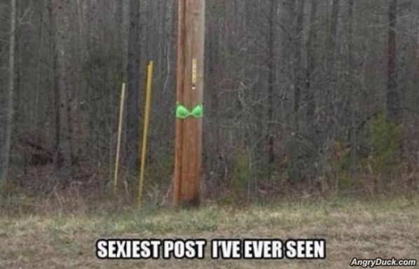 Sexy Post