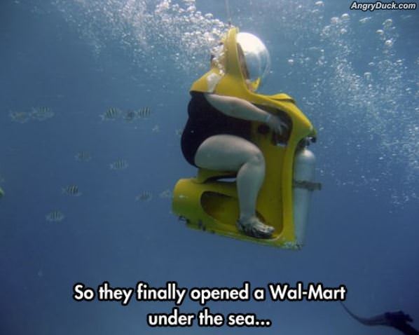 Under Water Walmart
