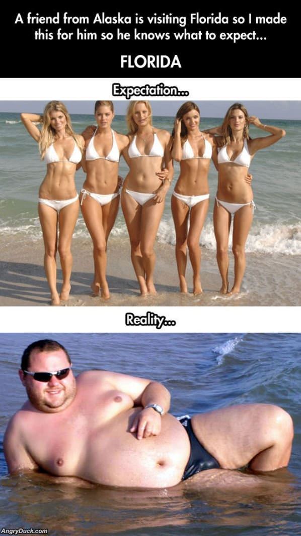 What To Expect In Florida