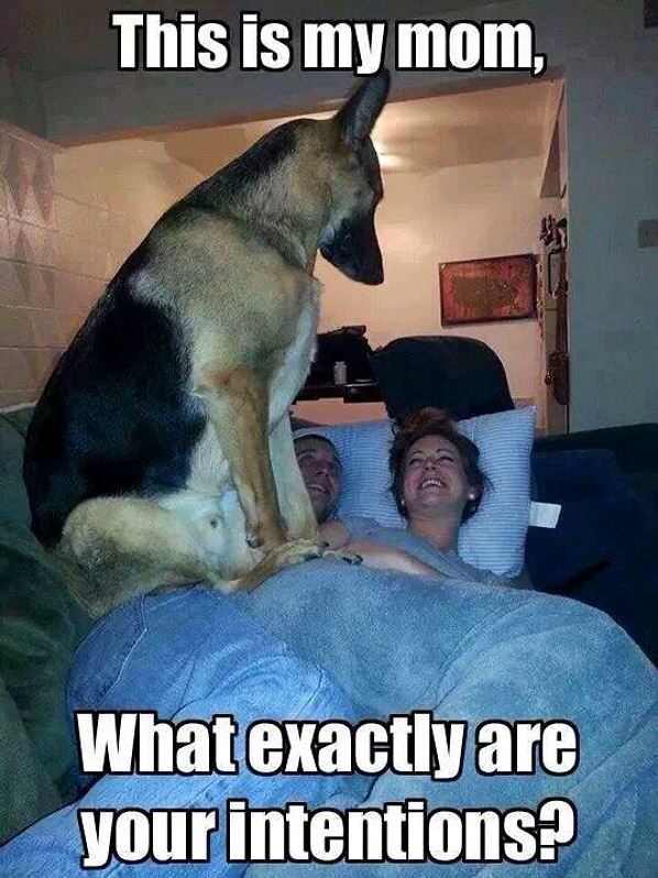 A True Guard Dog