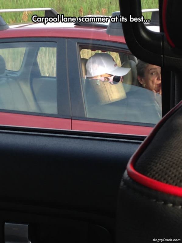 Carpool Scammer