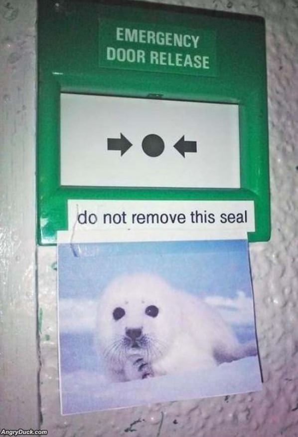 Do Not Remove