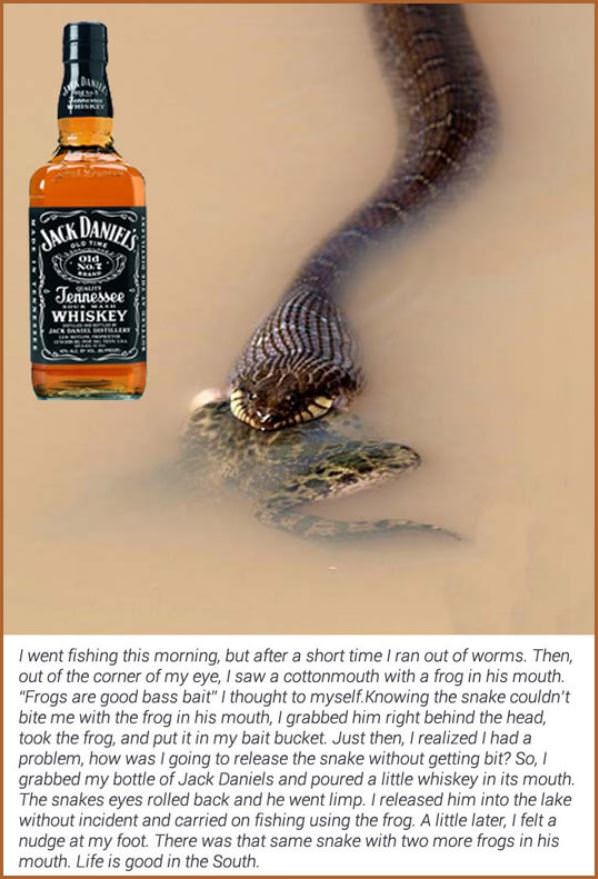 Life Is Good In The South