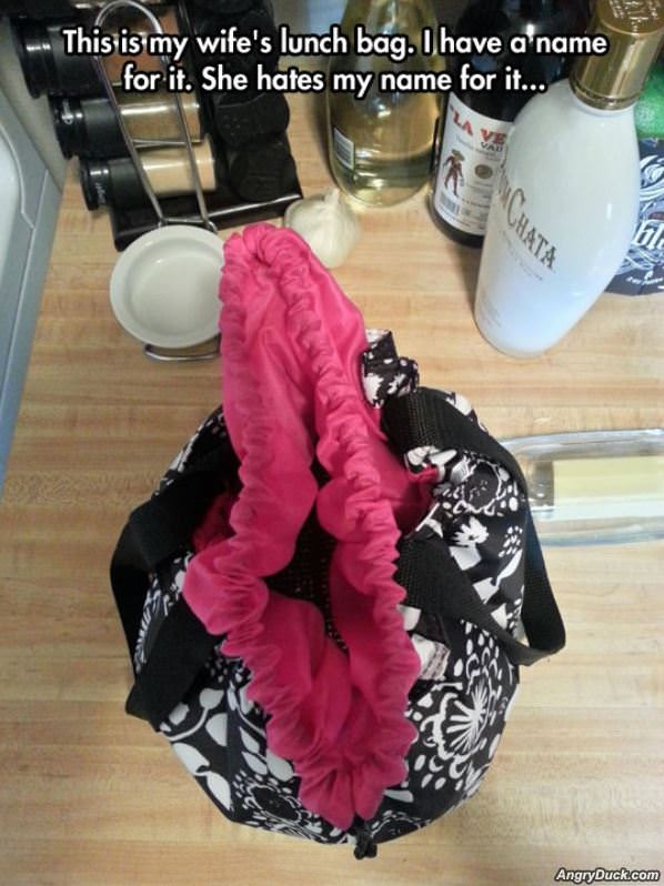 My Wifes Bag