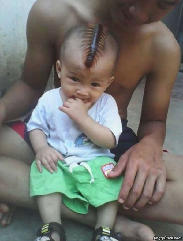 Nice Haircut