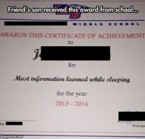 Amazing Award