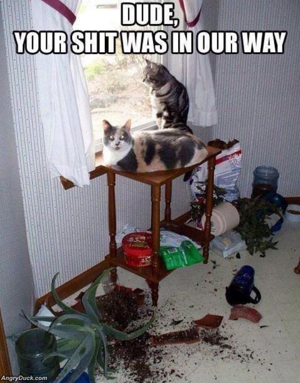 Dude It Was In The Way