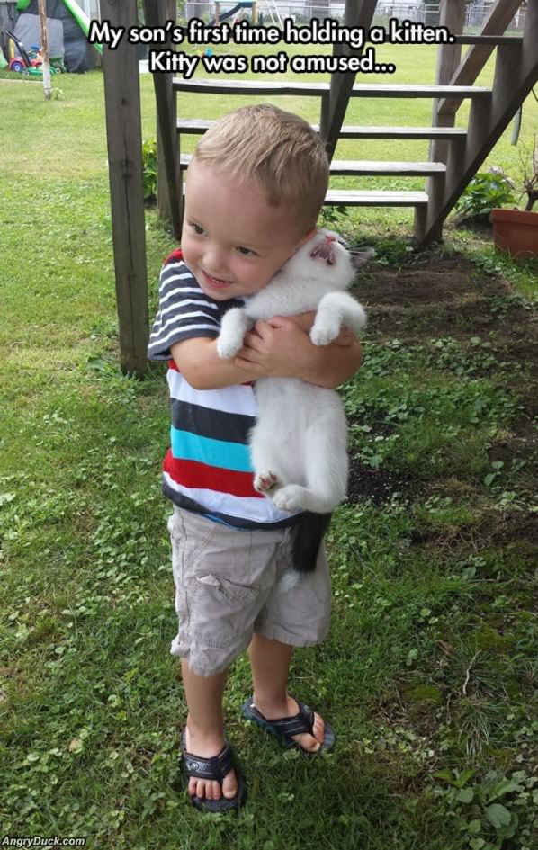 Holding A Kitten