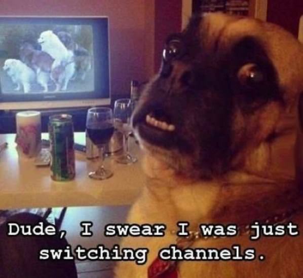 Just Switching Channels
