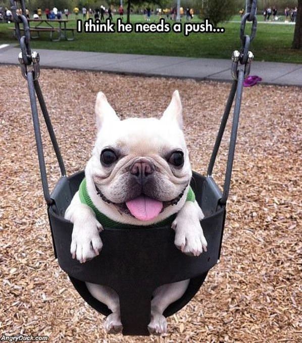 Needs A Push
