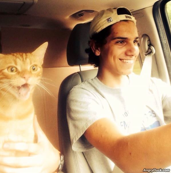 This Is An Awesome Ride