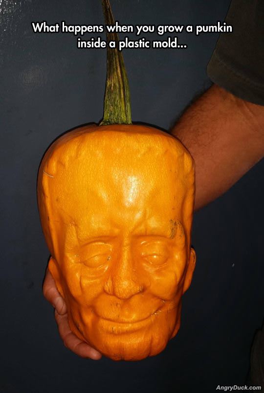 Cool Molded Pumpkin