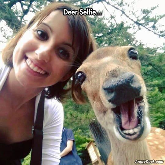 Deer Selfie