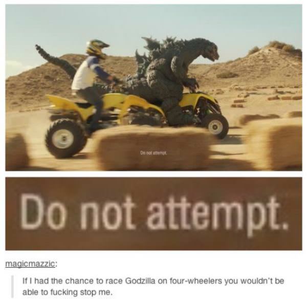 Do Not Attempt