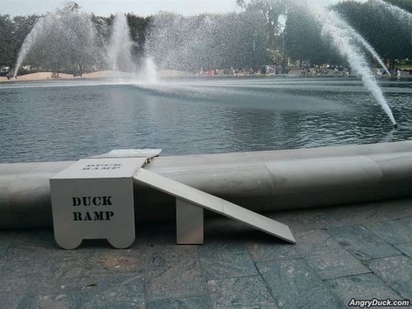 Duck Ramp