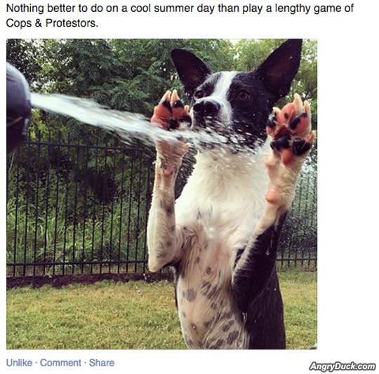 Game Of Cops And Protestors