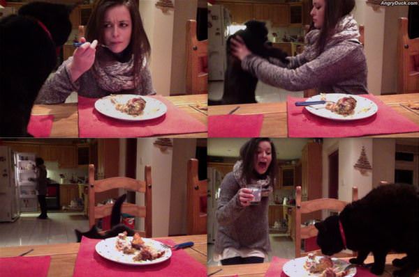 Hey Why You Take That