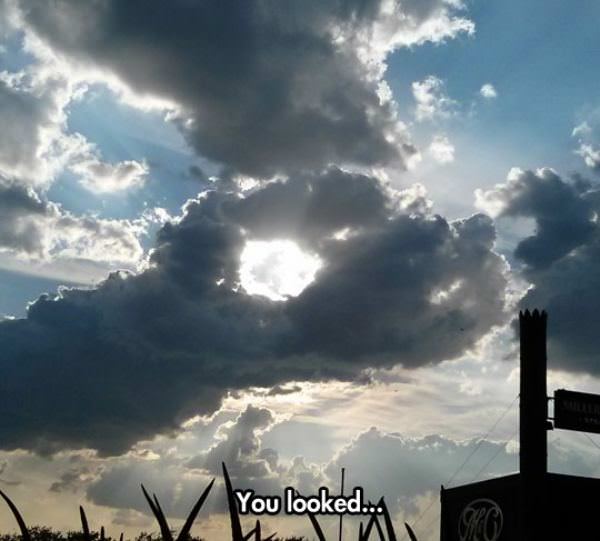You Looked
