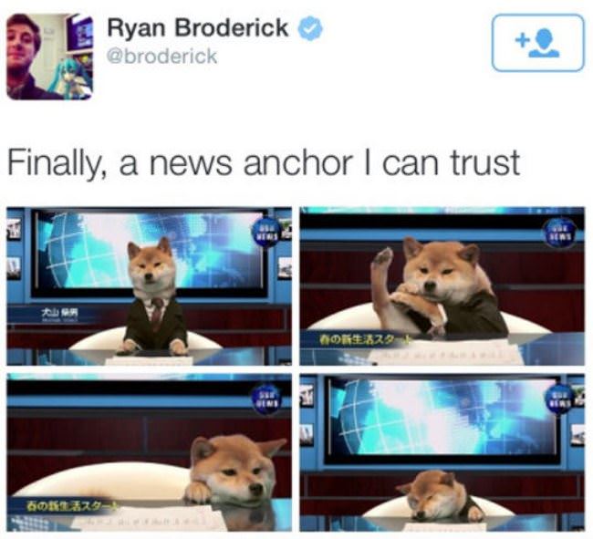 A News Anchor
