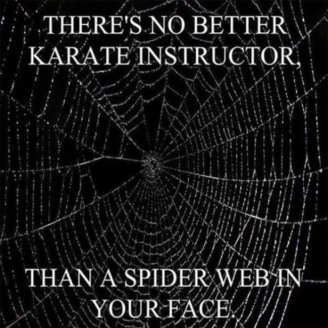 Best Karate Instructor
