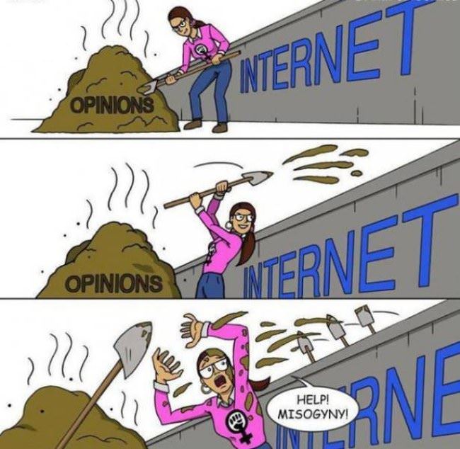 Feminism On The Internets