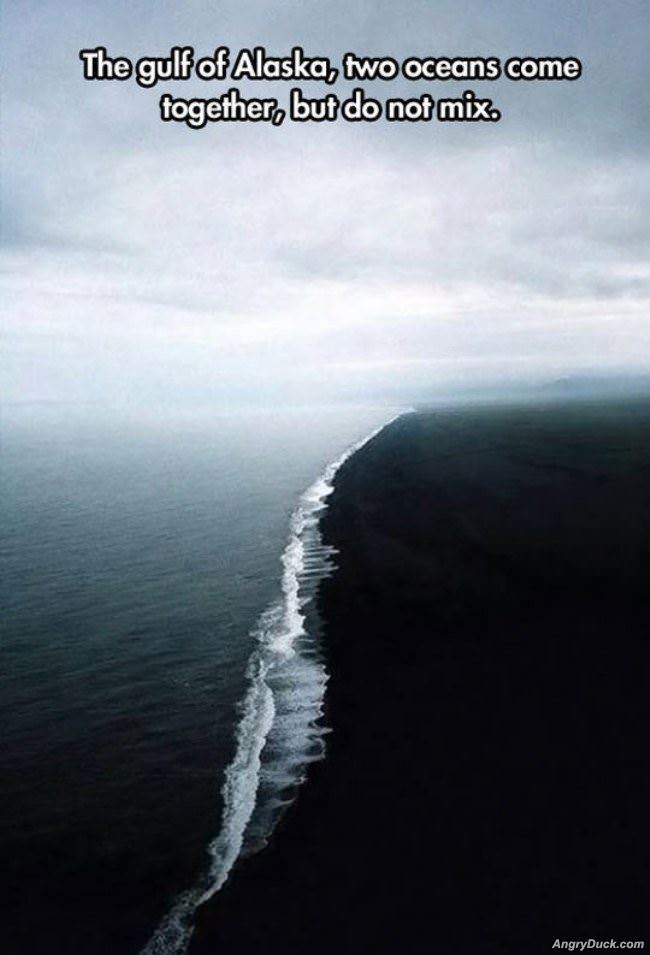 Gulf Of Alaska