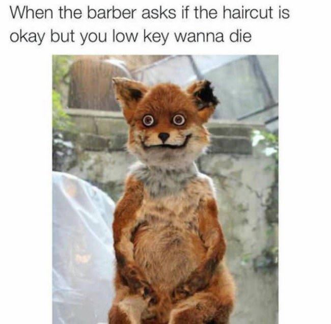 How Is Your Haircut