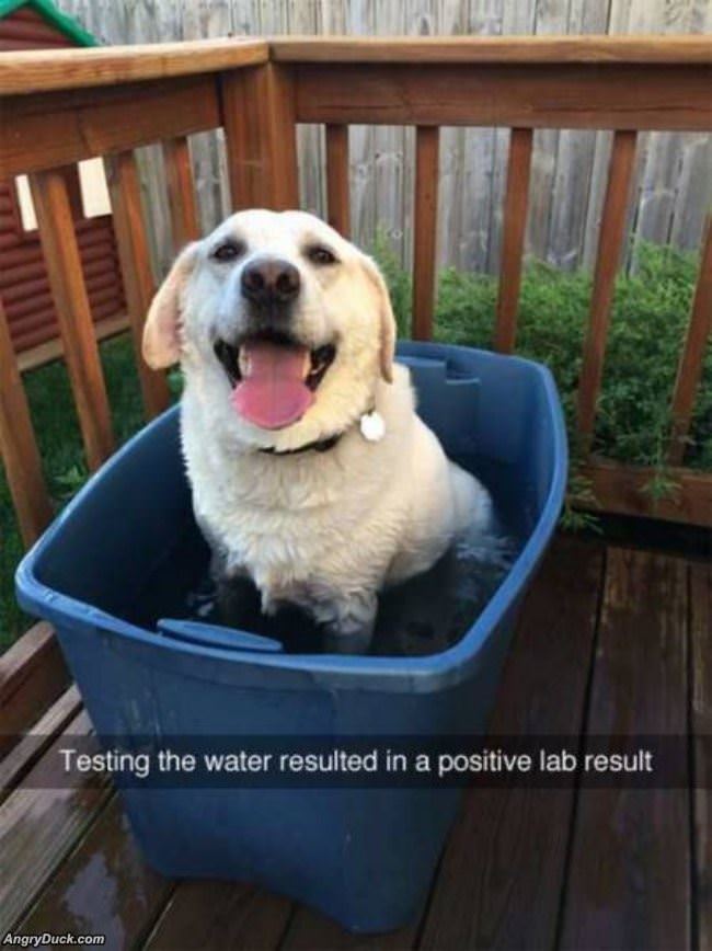 Testing The Water
