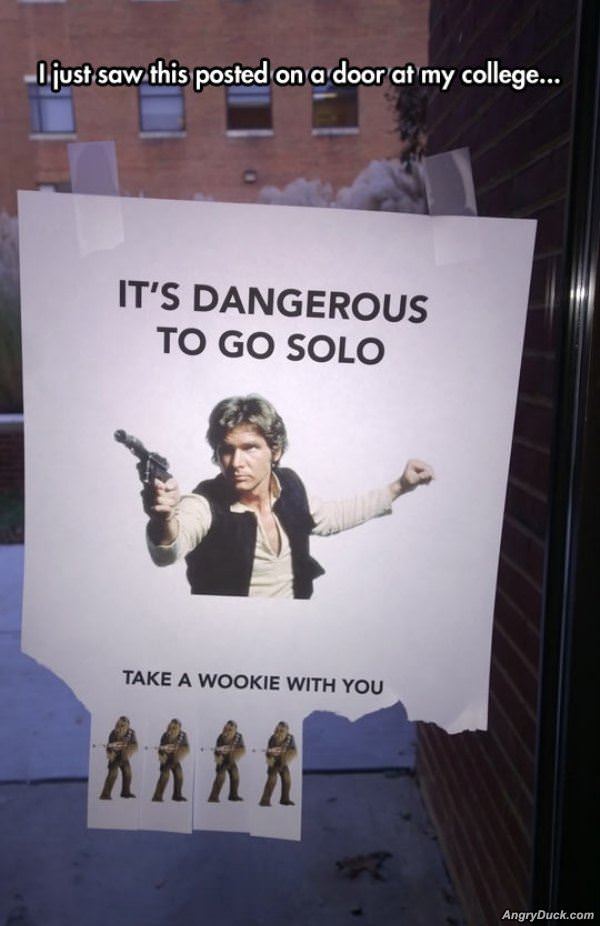 Dangerous To Go Solo