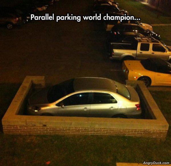 Parallel Parking Champion
