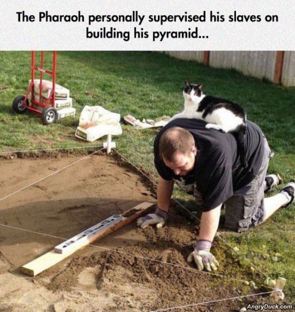 Personally Supervised