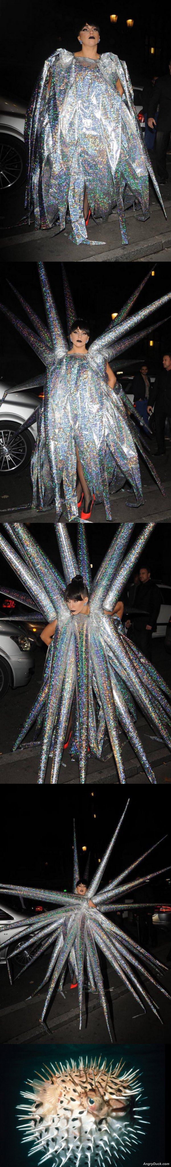 Quite The Fashion Statement