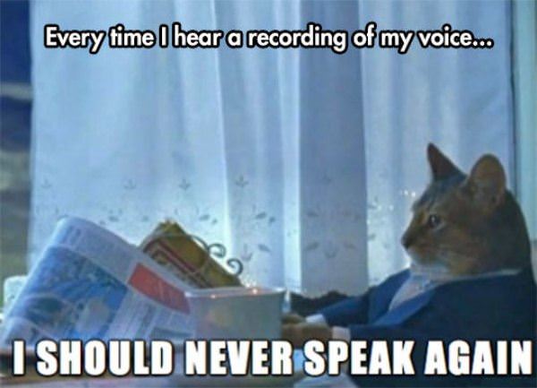 Recording Of My Voice
